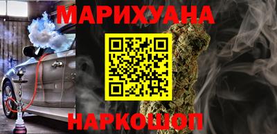 сатива Кингисепп