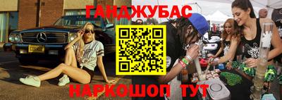 сатива Кингисепп